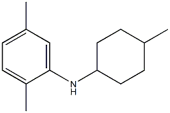 2,5-dimethyl-N-(4-methylcyclohexyl)aniline 结构式