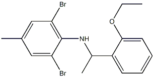  2,6-dibromo-N-[1-(2-ethoxyphenyl)ethyl]-4-methylaniline