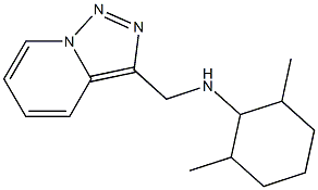 2,6-dimethyl-N-{[1,2,4]triazolo[3,4-a]pyridin-3-ylmethyl}cyclohexan-1-amine