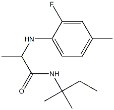 2-[(2-fluoro-4-methylphenyl)amino]-N-(2-methylbutan-2-yl)propanamide 化学構造式