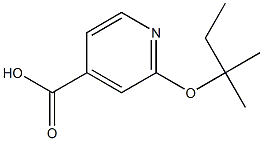 2-[(2-methylbutan-2-yl)oxy]pyridine-4-carboxylic acid,,结构式