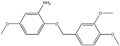 2-[(3,4-dimethoxyphenyl)methoxy]-5-methoxyaniline,,结构式