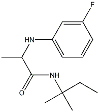  2-[(3-fluorophenyl)amino]-N-(2-methylbutan-2-yl)propanamide