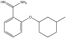 2-[(3-methylcyclohexyl)oxy]benzene-1-carboximidamide,,结构式