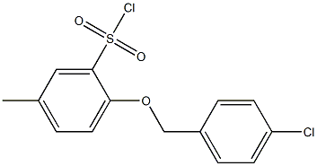 2-[(4-chlorophenyl)methoxy]-5-methylbenzene-1-sulfonyl chloride|