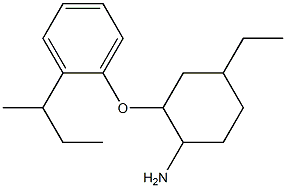 2-[2-(butan-2-yl)phenoxy]-4-ethylcyclohexan-1-amine 化学構造式