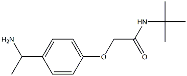 2-[4-(1-aminoethyl)phenoxy]-N-(tert-butyl)acetamide Structure
