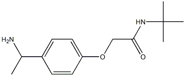 2-[4-(1-aminoethyl)phenoxy]-N-(tert-butyl)acetamide