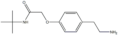 2-[4-(2-aminoethyl)phenoxy]-N-(tert-butyl)acetamide 化学構造式