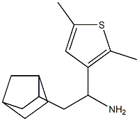  2-{bicyclo[2.2.1]heptan-2-yl}-1-(2,5-dimethylthiophen-3-yl)ethan-1-amine