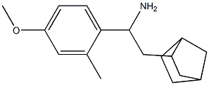  2-{bicyclo[2.2.1]heptan-2-yl}-1-(4-methoxy-2-methylphenyl)ethan-1-amine