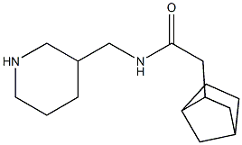 2-{bicyclo[2.2.1]heptan-2-yl}-N-(piperidin-3-ylmethyl)acetamide Structure