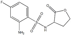 2-amino-4-fluoro-N-(2-oxooxolan-3-yl)benzene-1-sulfonamide 化学構造式