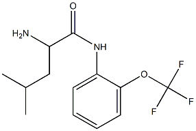 2-amino-4-methyl-N-[2-(trifluoromethoxy)phenyl]pentanamide 化学構造式