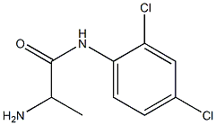 2-amino-N-(2,4-dichlorophenyl)propanamide Structure