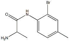 2-amino-N-(2-bromo-4-methylphenyl)propanamide|