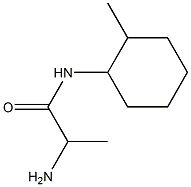 2-amino-N-(2-methylcyclohexyl)propanamide,,结构式