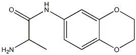  2-amino-N-2,3-dihydro-1,4-benzodioxin-6-ylpropanamide