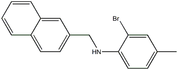 2-bromo-4-methyl-N-(naphthalen-2-ylmethyl)aniline