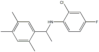 2-chloro-4-fluoro-N-[1-(2,4,5-trimethylphenyl)ethyl]aniline