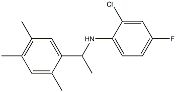 2-chloro-4-fluoro-N-[1-(2,4,5-trimethylphenyl)ethyl]aniline,,结构式