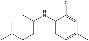 2-chloro-4-methyl-N-(5-methylhexan-2-yl)aniline,,结构式