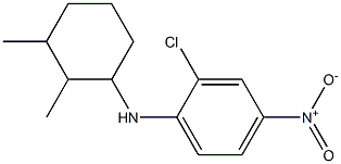 2-chloro-N-(2,3-dimethylcyclohexyl)-4-nitroaniline