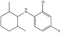 2-chloro-N-(2,6-dimethylcyclohexyl)-4-fluoroaniline