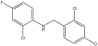 2-chloro-N-[(2,4-dichlorophenyl)methyl]-4-fluoroaniline|