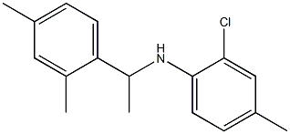 2-chloro-N-[1-(2,4-dimethylphenyl)ethyl]-4-methylaniline,,结构式