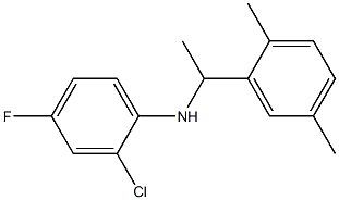 2-chloro-N-[1-(2,5-dimethylphenyl)ethyl]-4-fluoroaniline