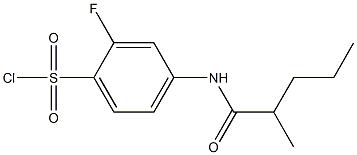 2-fluoro-4-(2-methylpentanamido)benzene-1-sulfonyl chloride