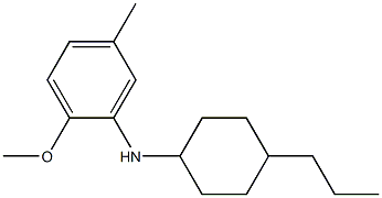 2-methoxy-5-methyl-N-(4-propylcyclohexyl)aniline,,结构式