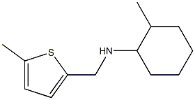 2-methyl-N-[(5-methylthiophen-2-yl)methyl]cyclohexan-1-amine Struktur