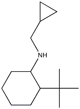 2-tert-butyl-N-(cyclopropylmethyl)cyclohexan-1-amine 化学構造式