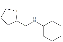 2-tert-butyl-N-(oxolan-2-ylmethyl)cyclohexan-1-amine Structure