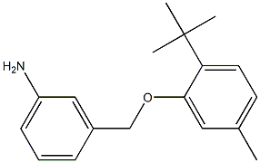 3-(2-tert-butyl-5-methylphenoxymethyl)aniline,,结构式