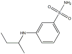 3-(butan-2-ylamino)benzene-1-sulfonamide 化学構造式