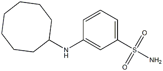 3-(cyclooctylamino)benzene-1-sulfonamide Structure