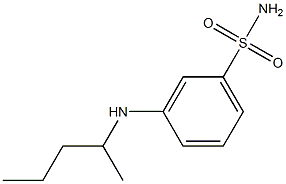 3-(pentan-2-ylamino)benzene-1-sulfonamide 结构式