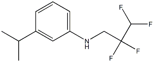 3-(propan-2-yl)-N-(2,2,3,3-tetrafluoropropyl)aniline Struktur