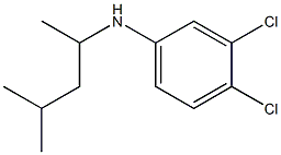 3,4-dichloro-N-(4-methylpentan-2-yl)aniline Structure