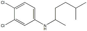 3,4-dichloro-N-(5-methylhexan-2-yl)aniline 化学構造式