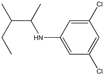 3,5-dichloro-N-(3-methylpentan-2-yl)aniline Structure