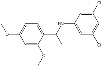 3,5-dichloro-N-[1-(2,4-dimethoxyphenyl)ethyl]aniline