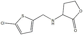 3-{[(5-chlorothiophen-2-yl)methyl]amino}oxolan-2-one
