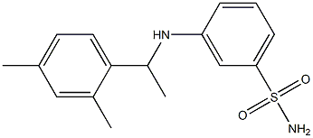 3-{[1-(2,4-dimethylphenyl)ethyl]amino}benzene-1-sulfonamide Structure