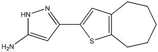 3-{4H,5H,6H,7H,8H-cyclohepta[b]thiophen-2-yl}-1H-pyrazol-5-amine,,结构式