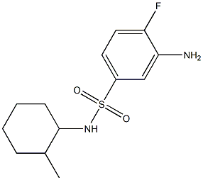 3-amino-4-fluoro-N-(2-methylcyclohexyl)benzene-1-sulfonamide,,结构式