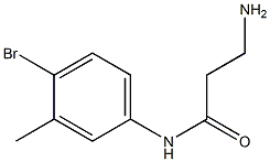 3-amino-N-(4-bromo-3-methylphenyl)propanamide 结构式